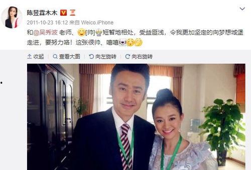 刘培爆料吴秀波视频播放,真相与争议并存